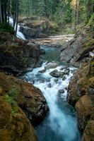 Pacific North West